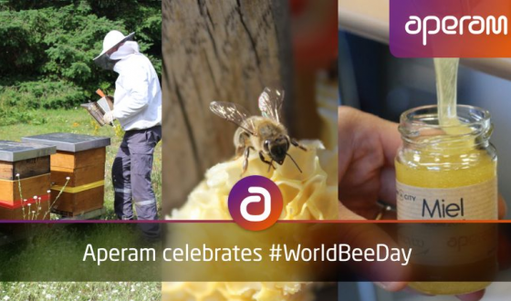 World bee day